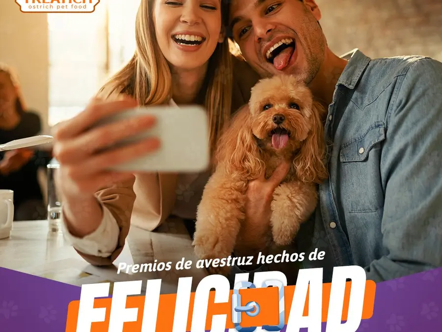 Campaña visual Treatich para dueños de mascotas
