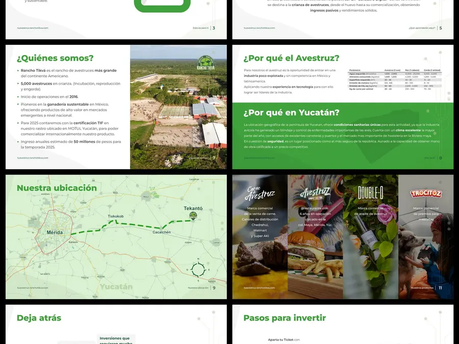 Páginas de la presentación TuAvestruz