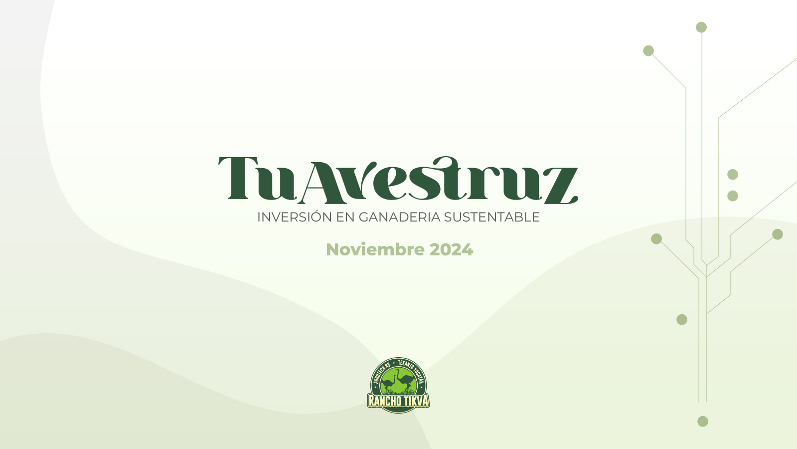 Pitch Aparceria TuAvestruz